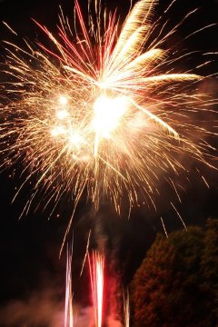 t_IMG_5402.jpg
